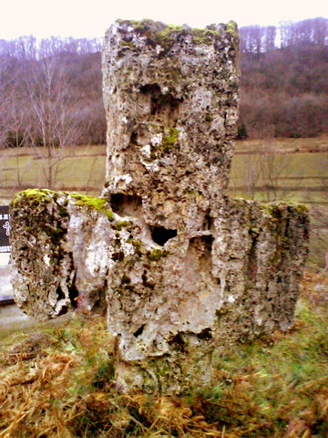 Treskavačko grobije - 1