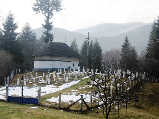 Frasinei