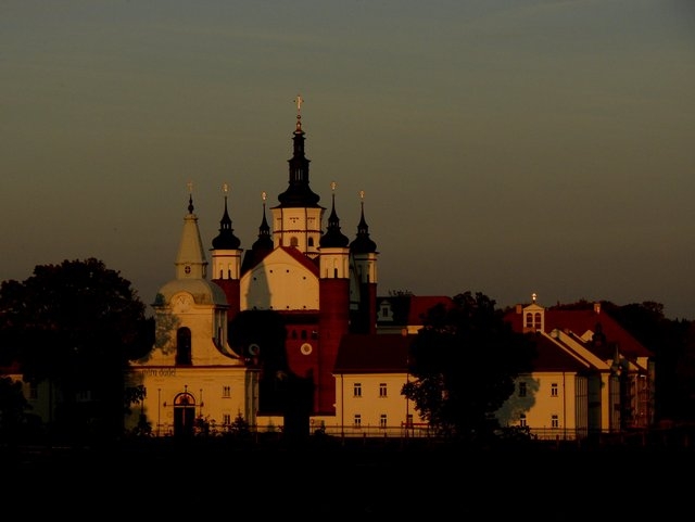 in the evening light..