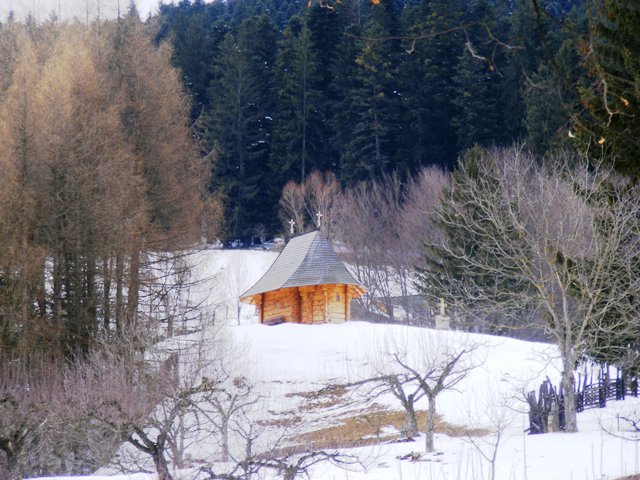 Bisericuta
