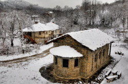 Petrov 
a temple 
216 
2010-01-01 23:01:45