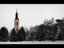 b4N3 
Празнична панорама порте сенћанског храма 
2010-01-03 17:41:51