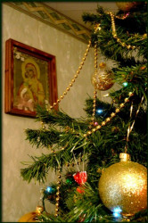 evaphoto 
C Рождеством Христовым ! 
2010-01-10 19:25:08