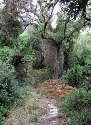 Maniek 
Athonite Paths 
2010-01-10 22:54:19