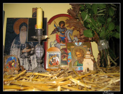 Suroti 
БОЖИЋ 
2010-01-12 18:25:49