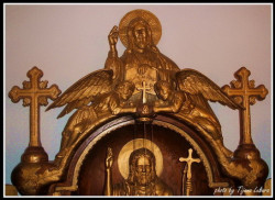 Tixy 
С П А С Е Њ Е 
2010-01-19 11:24:21