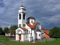 Zoran Sremski 
Нови Лединци - Novi Ledinci 
2010-01-26 22:34:02