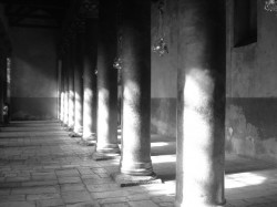 milesija 
   
2010-01-28 12:04:46