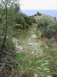 Maniek 
Athonite Paths 
2010-01-30 12:13:22