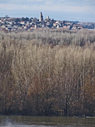 Tomislav 
Гардош - Поглед са Калемегдана 
2010-01-30 18:08:17