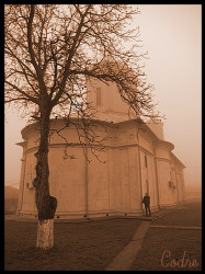 codre 
la manastirea Pasarea 
2010-01-31 08:59:36