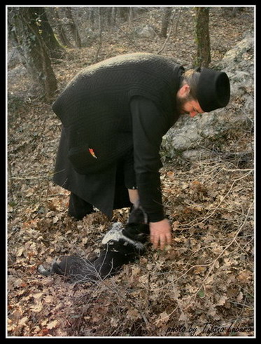 Јеромонах Јефрем Дабановић