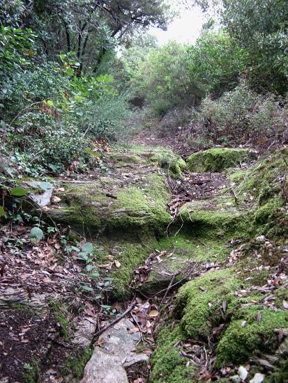 Athonite Paths