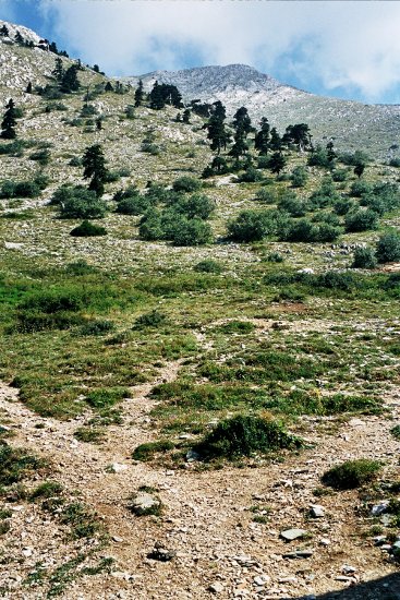 Athonite Paths