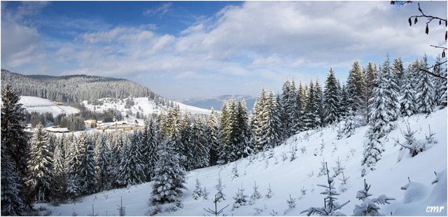 Manastirea Putna, iarna