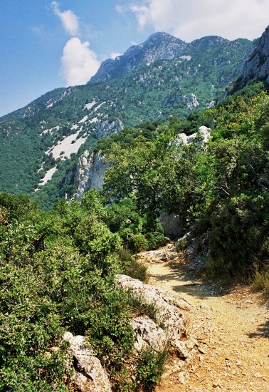 Athonite Paths