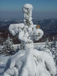 plamka_r 
по билото на Стара планина 
188 
2010-02-01 16:46:14
