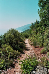 Maniek 
 Athonite Paths 
2010-02-03 09:30:08