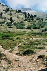 Maniek 
Athonite Paths 
2010-02-13 22:21:55