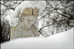 Pit_Zsak_79 
 
2010-02-14 18:02:24