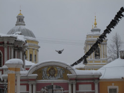 ursula.oppel 
Александро Невская Лавра в С Петербурге 
2010-02-16 20:48:35