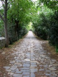 Maniek 
Athonite Paths 
2010-02-16 23:01:04