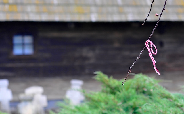 Martisor