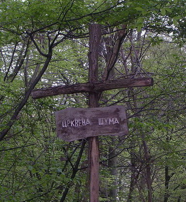 Добри поток код  Крупња