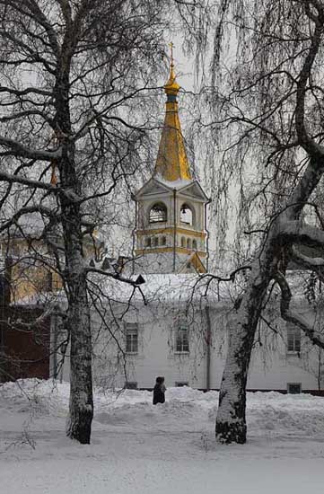 Вознесенский кафедральный собор. г.Новосибирск