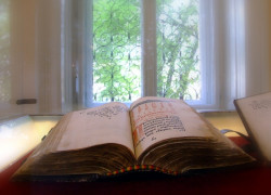 toza 
Још мало из ризнице! 
186 
2010-03-03 19:15:23