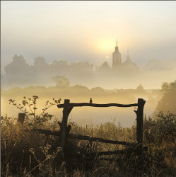 kpom 
Даст Бог день (This day God gives me ) 
447 
2010-03-03 20:38:36