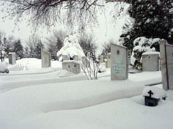 waniia 
Гробище 
2010-03-12 21:04:29