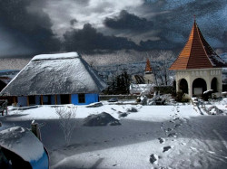 PALADA 
Paşi in zapada (Footprints in the snow)... 
195 
2010-03-14 13:20:28