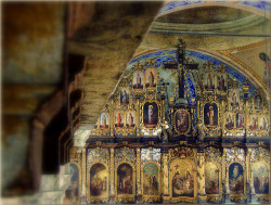 toza 
Видовдан 2009 (2) 
2010-03-28 20:24:00