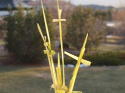 angus 
And when he had come to Jerusalem, they strawed the street with palms that they had cut 
2010-03-30 03:54:41