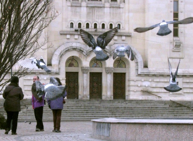 Moment Hitchcock in fata catedralei din Cluj-Napoca