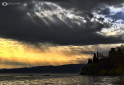 slavicca 
Rays 
2010-04-03 01:42:06