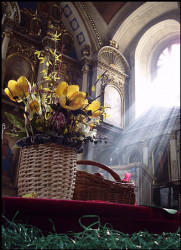 b4N3 
Христос воскресе! 
2010-04-04 14:24:53