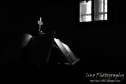 lino 
Spirit 
2010-04-08 19:25:20