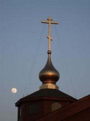 basil 
Dome 
2010-04-14 18:26:55