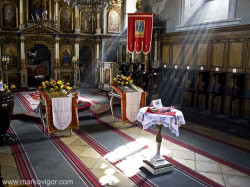igorrr 
Senta 
2010-04-15 09:46:14