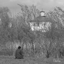 codre 
De Sfantul Calinic 
2010-04-15 21:02:27