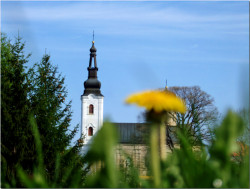 toza 
Манастир Шишатовац (1) 
2010-04-18 19:40:19