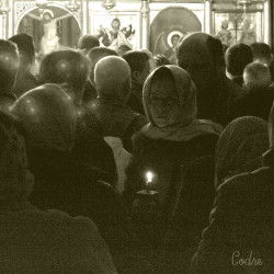 codre 
 
2010-04-18 21:20:44