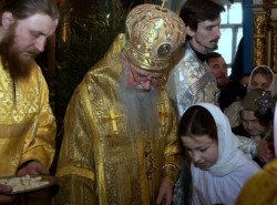 KAVICH 
Служба 
2010-04-19 21:55:57