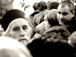 codre 
Among us, passed a monk... 
2010-04-28 00:34:47