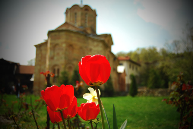 Manastir sv.Dimitrij-markov manastir