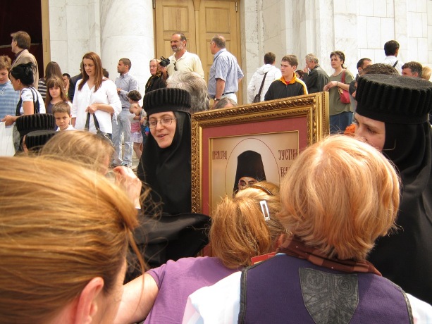 Цјелив