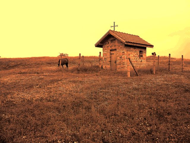 параклис, кон и магаре