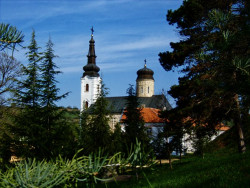 toza 
Манастир Шишатовац (6) 
2010-05-06 22:27:59